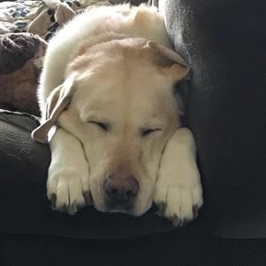 Meet your Posher, Nancy